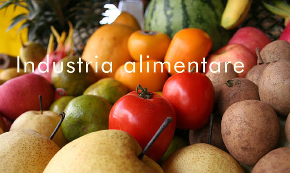 Impianti di trattamento delle acque per industrie alimentari