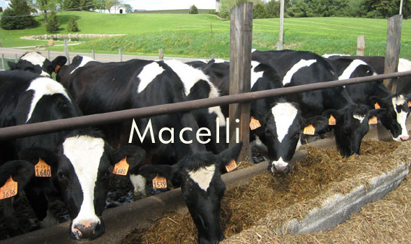Impianti di trattamento delle acque per macelli